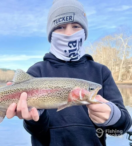 Young angler holding a rainbow trout during a fishing trip